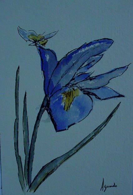 Acuarela flor.jpg